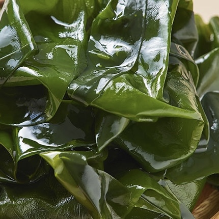 CELLBN REAL KELP FACIAL MASK