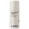Aminu Night Repair Cream