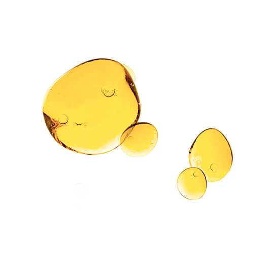 PSA MIDNIGHT COURAGE: Rosehip & Bakuchiol Night Oil