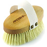 Arosha Natural Brush Home