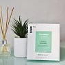 RARE PARIS BOX OF 5 ELIXIR INTENSE