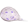 Rhea Cosmetics 2Tone Toning Biphasic