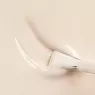 Fedua Ballerina 2.0