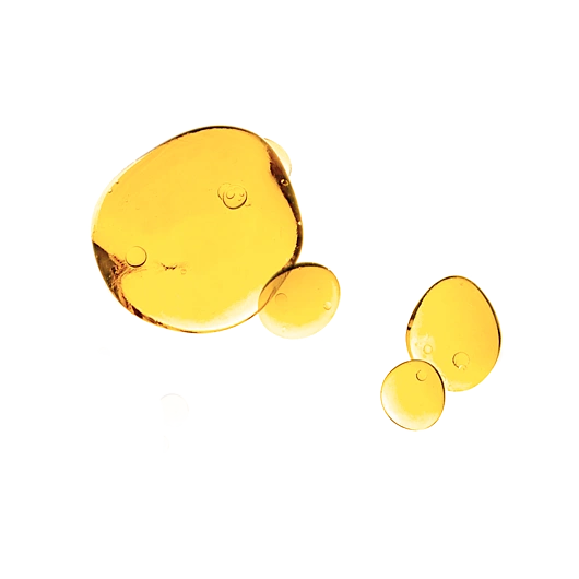 PSA MIDNIGHT COURAGE: Rosehip & Bakuchiol Night Oil