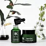 PhytoC Superheal O-Live Gel